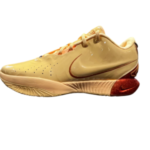 LEBRON XXI