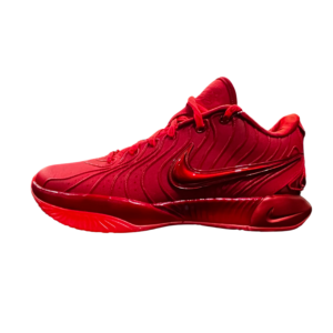 LEBRON XXI
